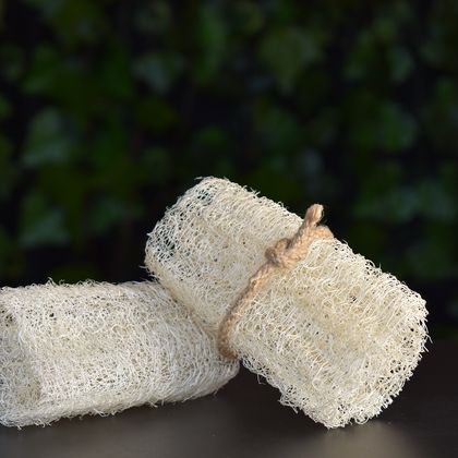 Natural Loofah Sponge (Small) - NZ Grown Loofah